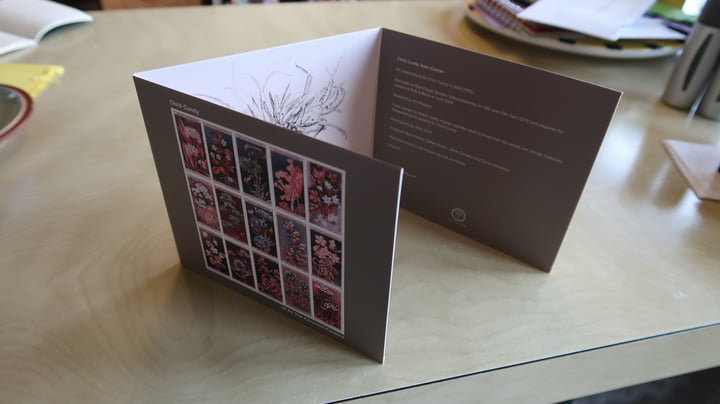 w.o.d. 廃盤 F.L.O.W.E.R.S. CD 美品 Old Flowers | Courtney Marie Andrews