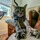 Finley J thumbnail