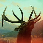 Before Nostromo | Stephan Mathieu | Schwebung