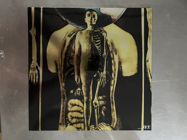 米2LP Nocturnal Emissions Cathedral NOHL6 No Holiday /00520 a1496245186_10.jpg