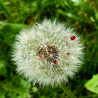 jona.kunterbunt thumbnail