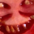 /// thumbnail