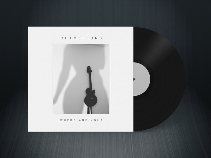 Where Are You? | Chameleons | Chameleons UK
