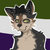 lycanlibrarian thumbnail