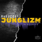DJ HIJNKS - DARK EDGE DNB thumbnail