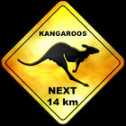 kangoo2097 thumbnail