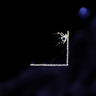 nursprachman thumbnail