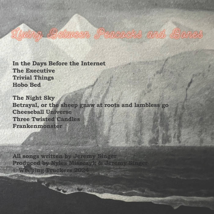 Album art
