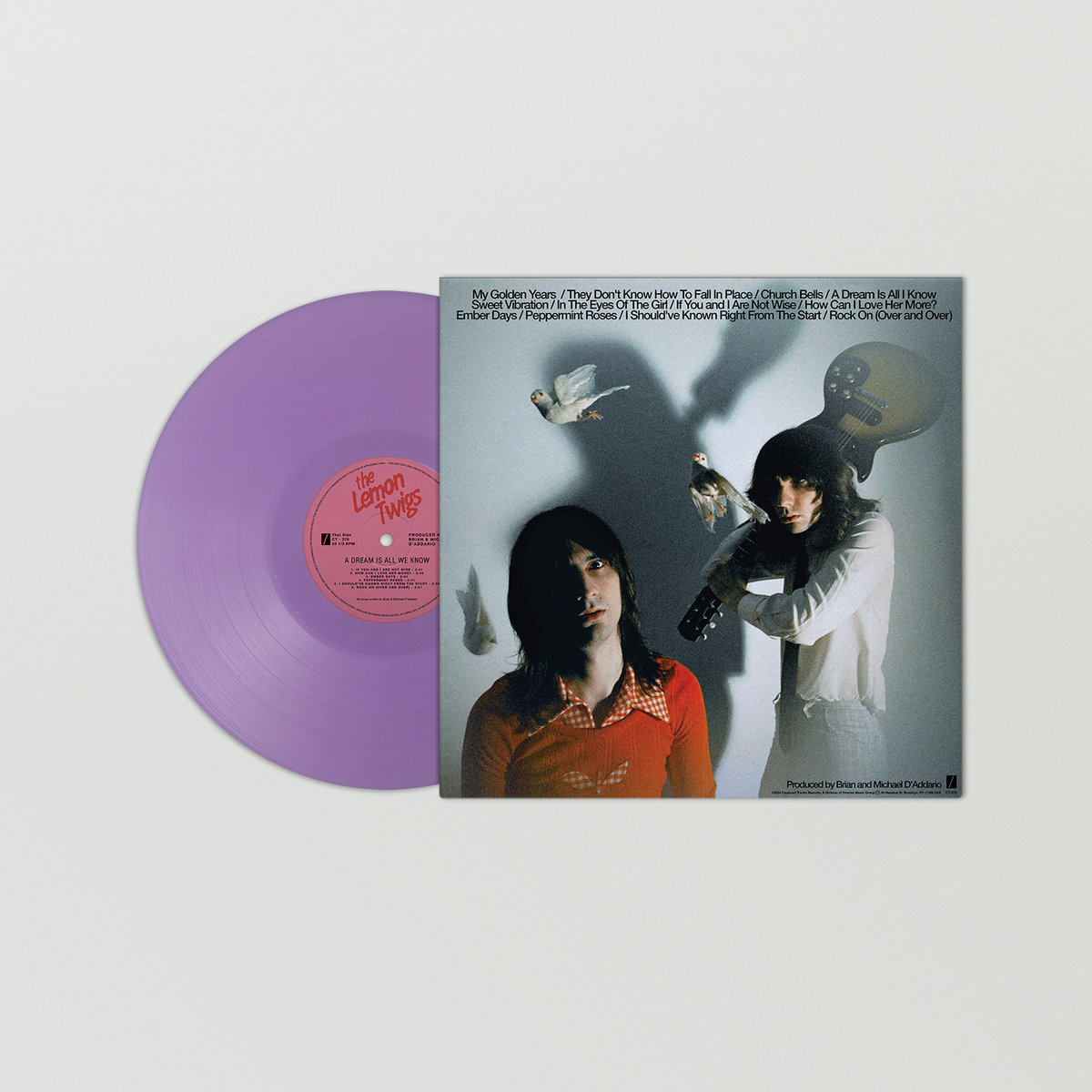 洋楽 The Lemon Twigs A Dream Is All We Know The Lemon Twigs - A Dream Is All We Know - Amazon.com Music