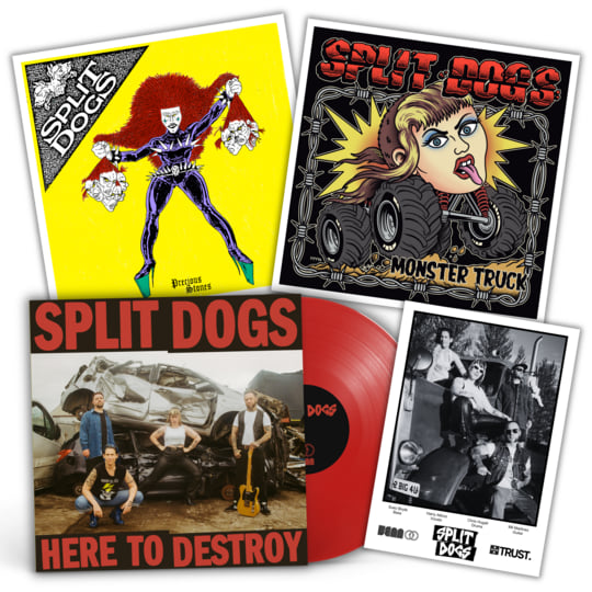 Here To Destroy | SPLIT DOGS