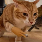 gamerlol172 thumbnail