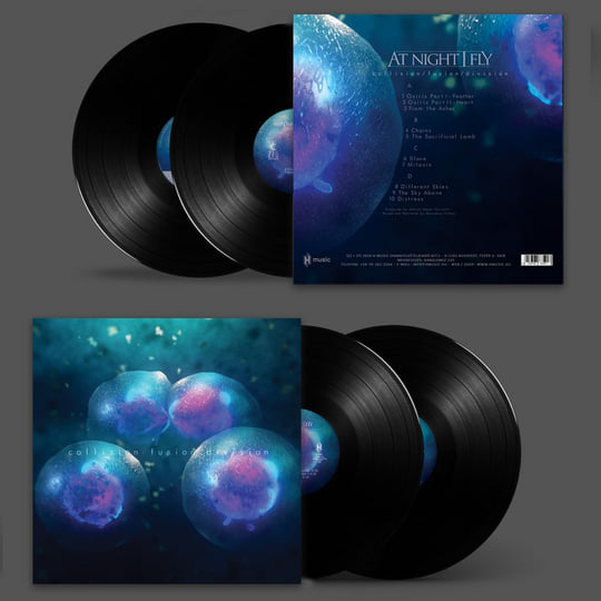 collision/fusion/division | At Night I Fly