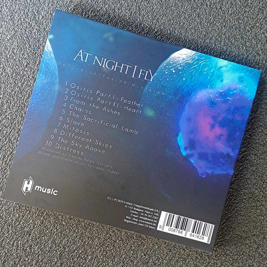 collision/fusion/division | At Night I Fly