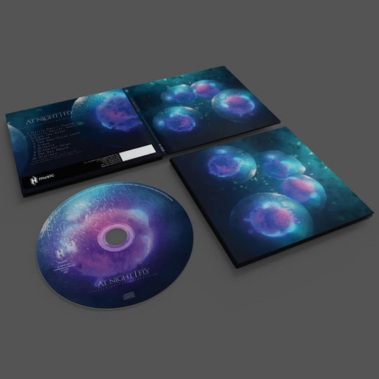 collision/fusion/division | At Night I Fly