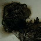 bhk thumbnail