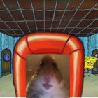 DoctorWave thumbnail