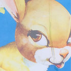 zemzk thumbnail