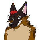 blackmetalcoyote thumbnail