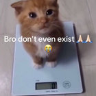 no.salt thumbnail