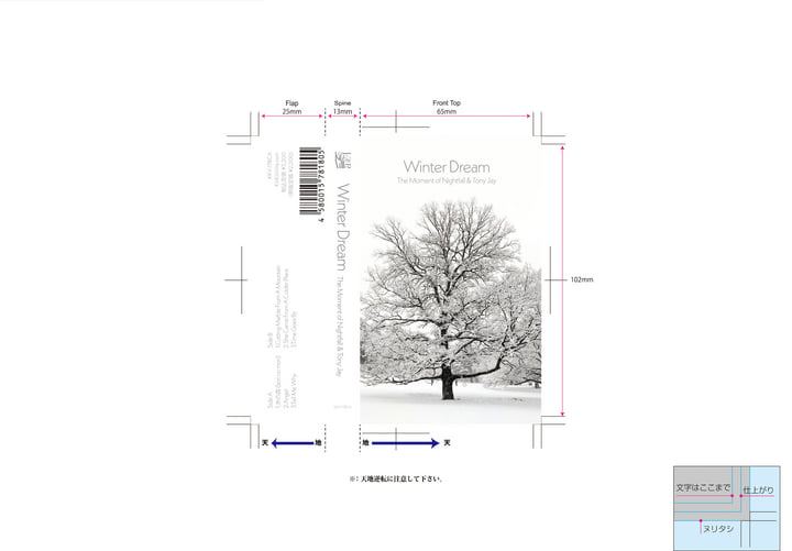 Winter Dream | The Moment of Nightfall and Tony Jay | KiliKiliVilla