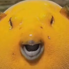 fridayiminlove thumbnail