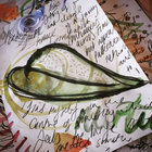 polly_b thumbnail