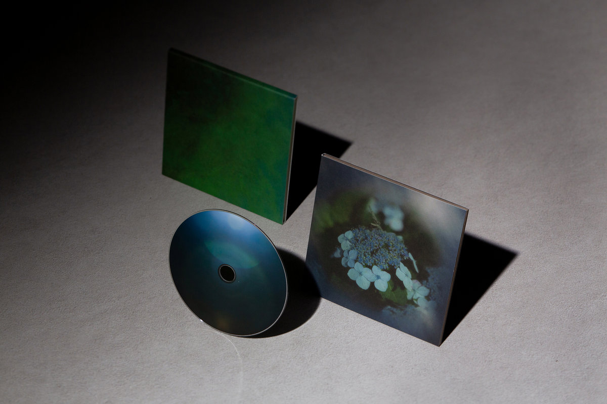 Into the Darkness of the Night | Hiroshi Ebina