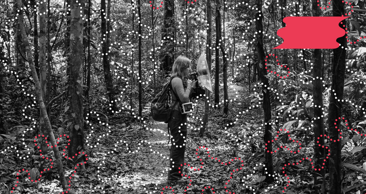 The Best Field Recordings on Bandcamp, September 2024 | Bandcamp Daily