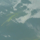 Steve Sutcliffe thumbnail