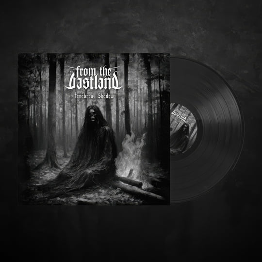 Tenebrous Shadow | From The Vastland