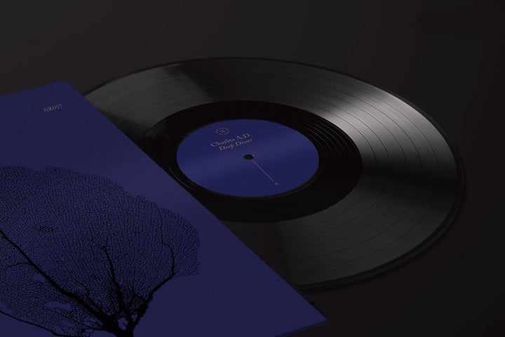 Deep Diver | Charles.A.D | Avantroots