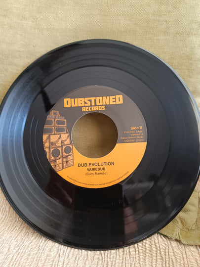 Irie Nanara Ft Variedub_Evolution (2024) | Dubstoned Records