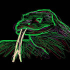 caimanlizard thumbnail
