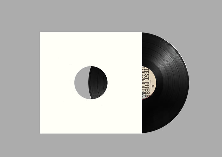 Orange 2 | Macula Dog