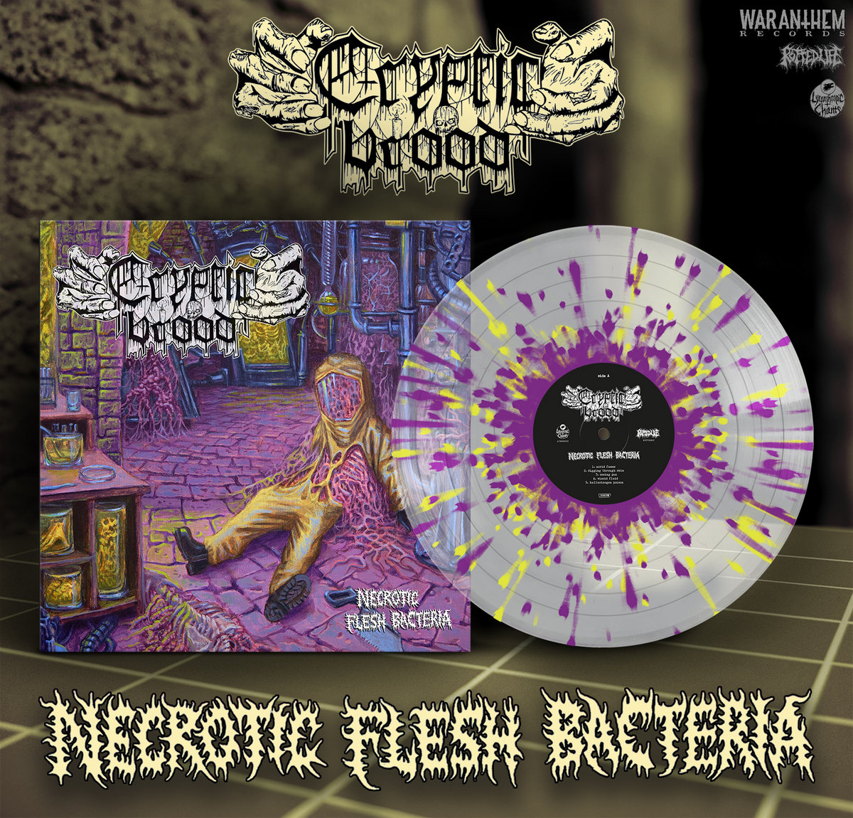 Cleanse The Bacteria – 2 x Vinyl (LP, Compilation + 2 more