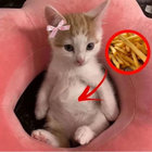 lolitabear12 thumbnail
