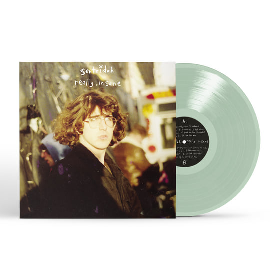 Really Insane - A Lou Barlow Compendium | Sentridoh