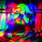 Mick  thumbnail