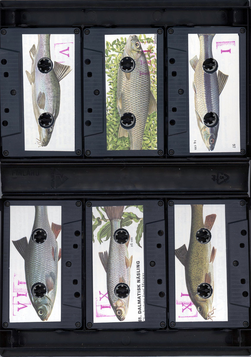 Grand Declaration of Wall | mima kass