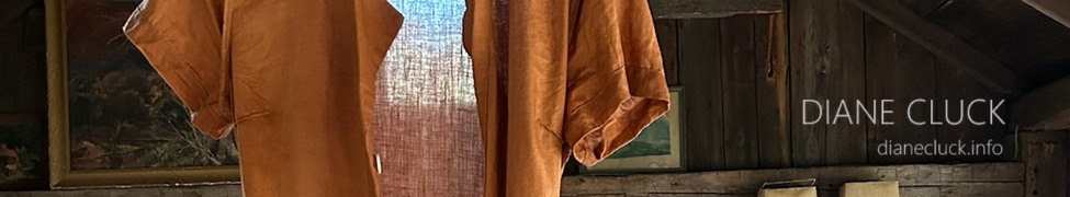 Diane Cluck — Photo