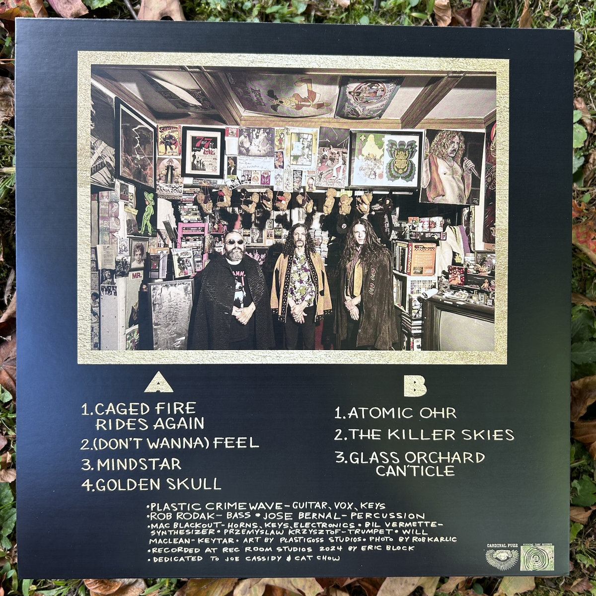 Plastic Crimewave Syndicate - Tales Of The Golden Skull LP Co 