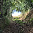 frederikfabel thumbnail