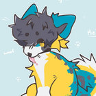 shyclaws thumbnail