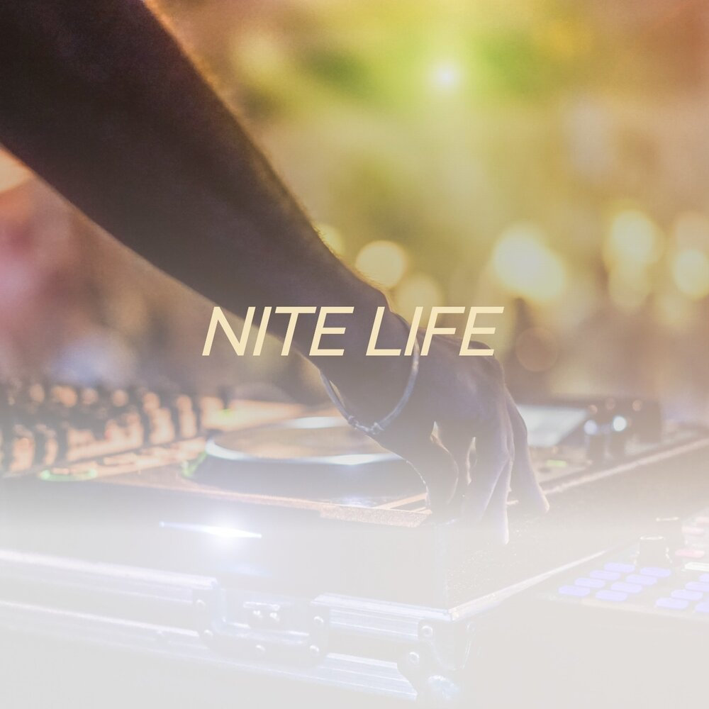 NiteLife 11 Part 1 Various Artists NiteLife Series