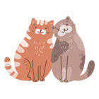 mishypoo thumbnail