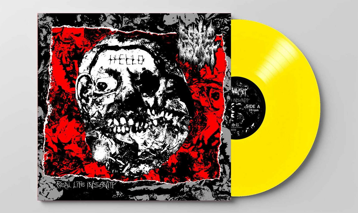 Septic Death『Now That I Have～』LP Septic Death – Now That I Have The Attention What Do I Do
