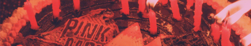 Pink Mountaintops — Photo