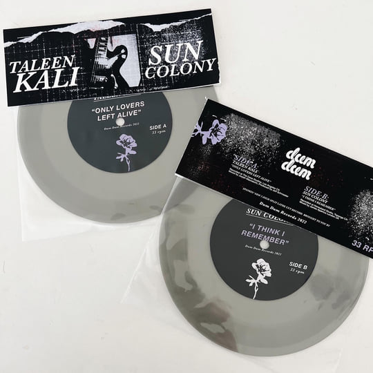 Only Lovers Left Alive (single) | Taleen Kali