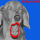 mittster thumbnail