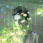 ottotaimela thumbnail
